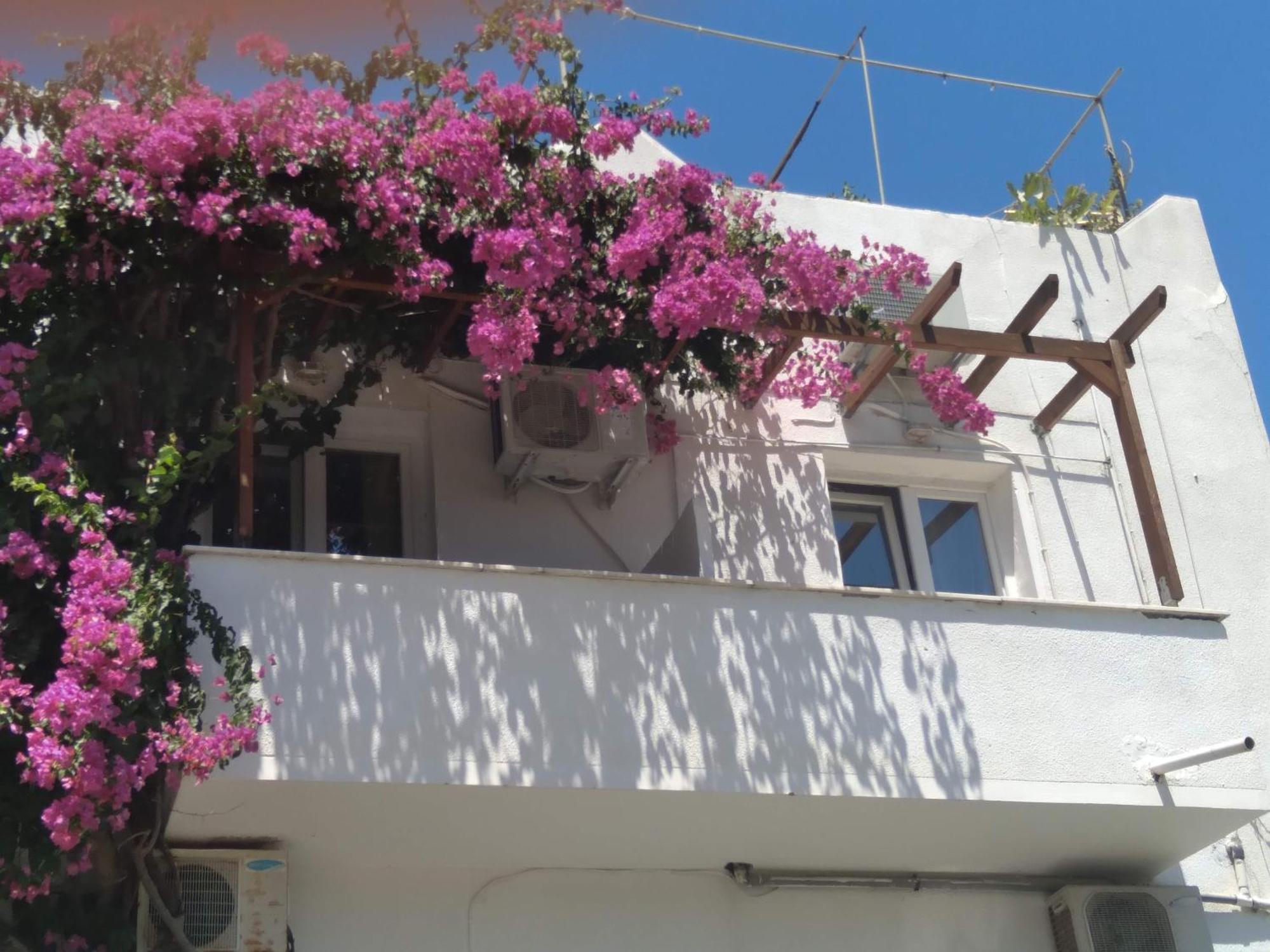 Iokasti Studios Andros Town Ngoại thất bức ảnh